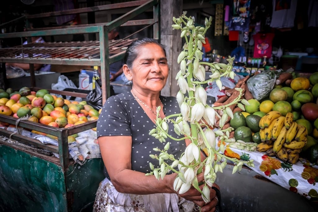 Ruta de las Flores. Szlakiem kwiatów w Salwadorze 12 Ruta de las Flores Ataco kwiaty