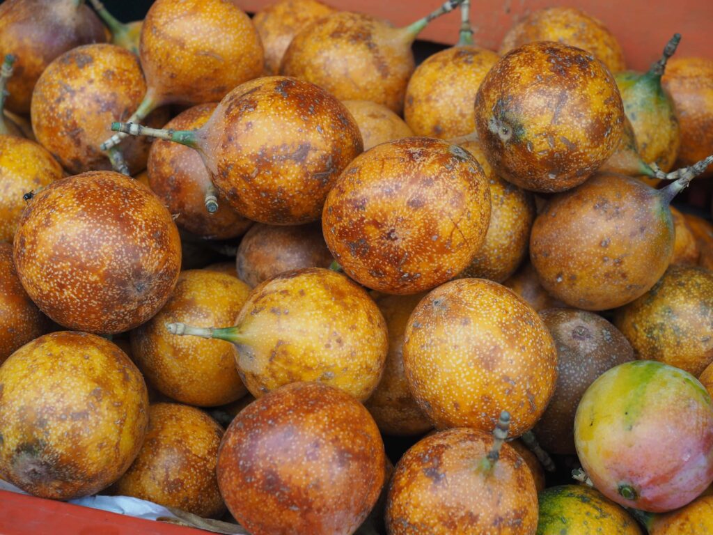 Ruta de las Flores. Szlakiem kwiatów w Salwadorze 8 Ruta de las Flores granadija