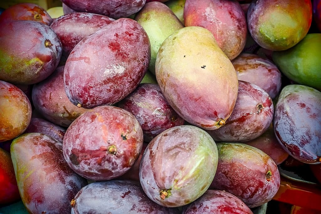 Ruta de las Flores. Szlakiem kwiatów w Salwadorze 14 Ruta de las Flores mango czerwone
