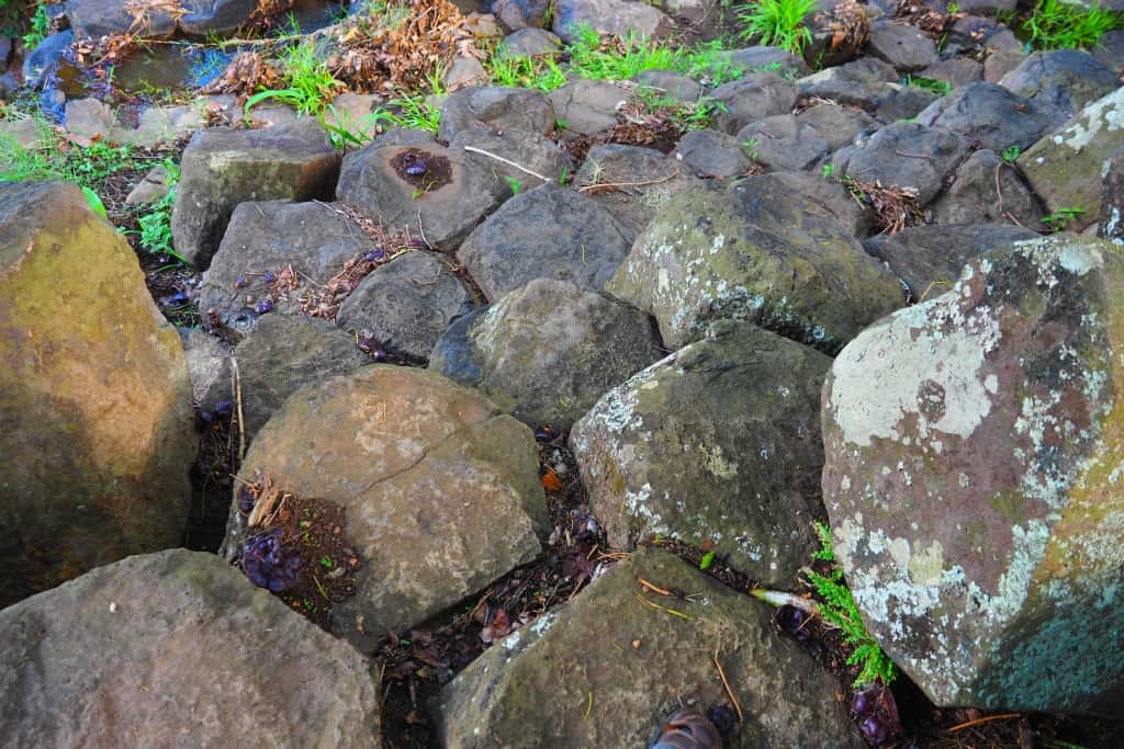 Co zobaczyć w Salwadorze? Przewodnik po najciekawszych miejscach 35 Cascada Los Tercios Suchitoto 2