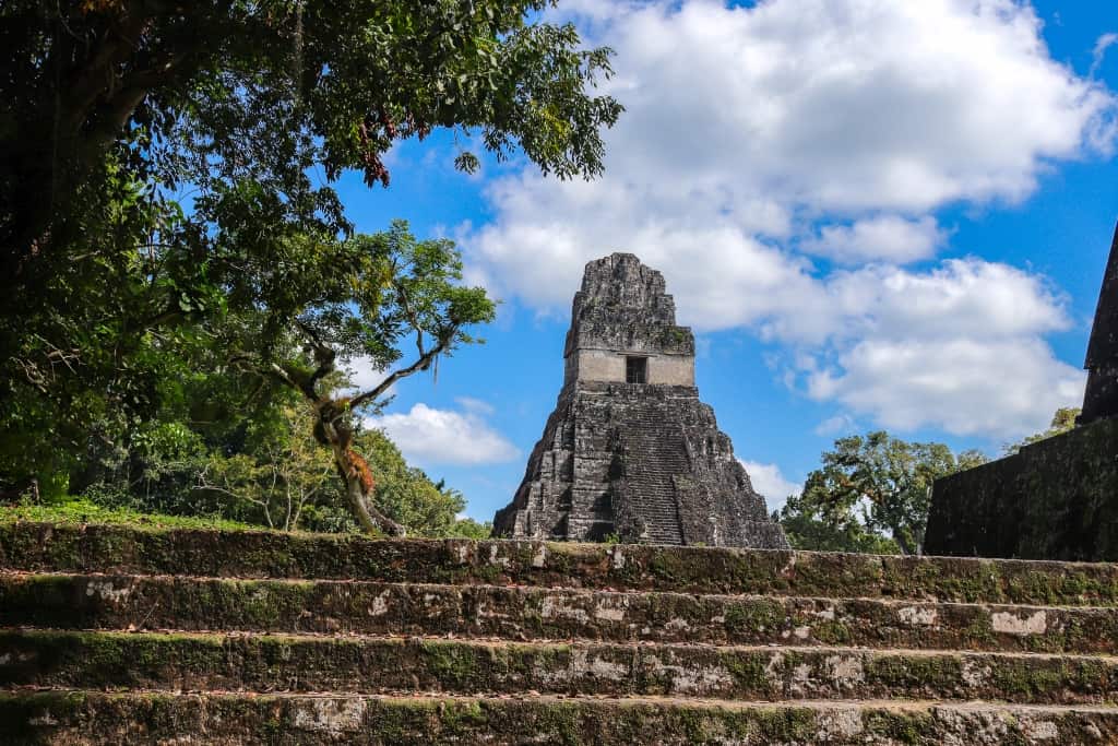 Co zobaczyć w Tikal – przewodnik po świątyniach Majów 13 Tikal dzungla l 1