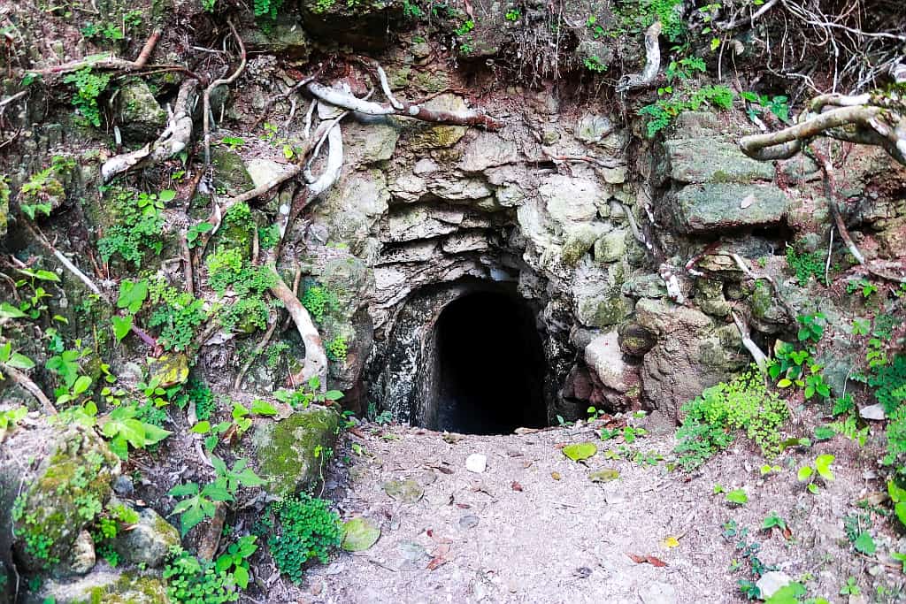 Co zobaczyć w Tikal – przewodnik po świątyniach Majów 29 Tikal dzungla m 1