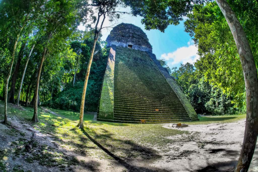 Co zobaczyć w Tikal – przewodnik po świątyniach Majów 27 Tikal piramida 5 1