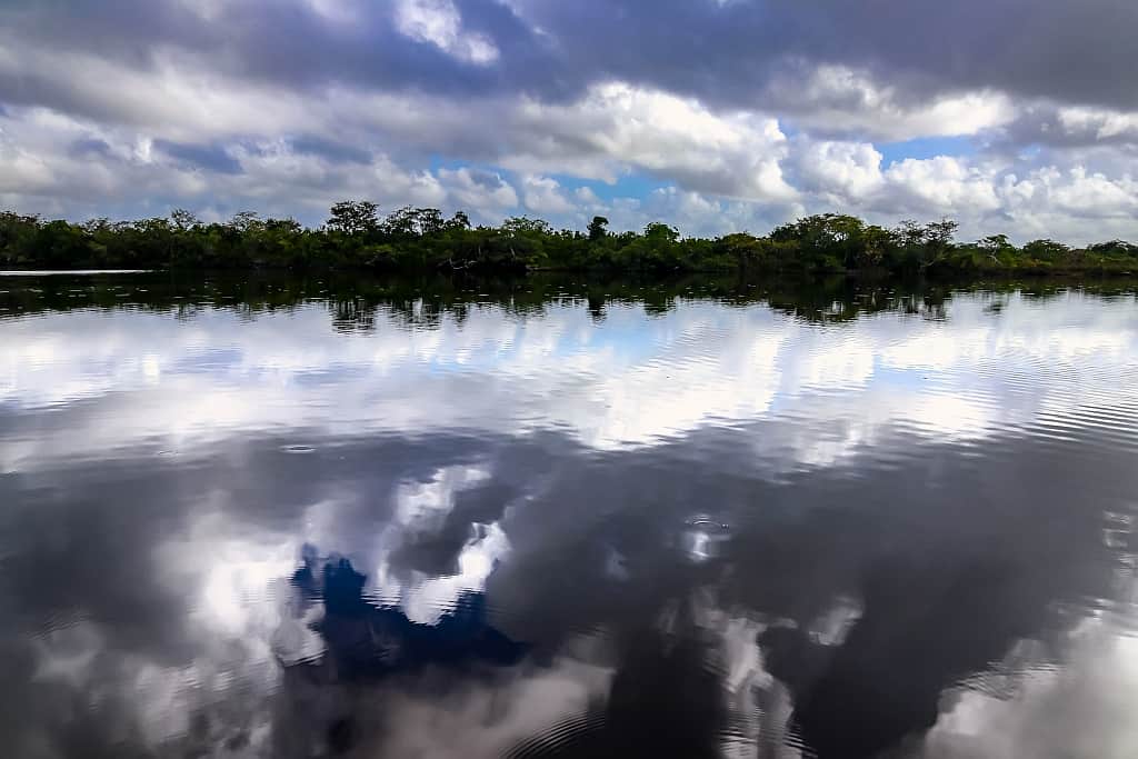 Lamanai. Ruiny miasta Majów w Belize 10 Lamanai New River 2