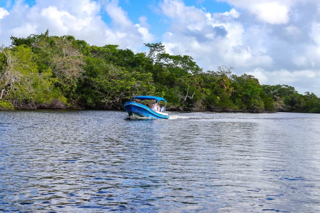 Lamanai. Ruiny miasta Majów w Belize 3 Lamanai New River 7