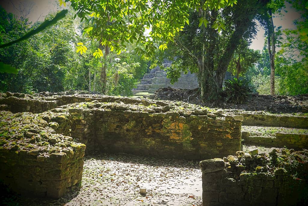 Lamanai. Ruiny miasta Majów w Belize 20 Lamanai wielka swiatynia.4