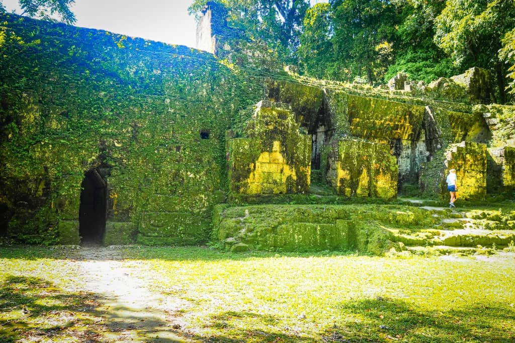 Co zobaczyć w Tikal – przewodnik po świątyniach Majów 23 Tikal starozytne miasto Majow zaginione miasto