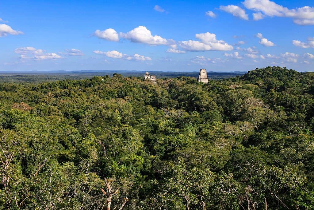 Co zobaczyć w Tikal – przewodnik po świątyniach Majów 4 Tikal widok ze swiatyni IV (1)
