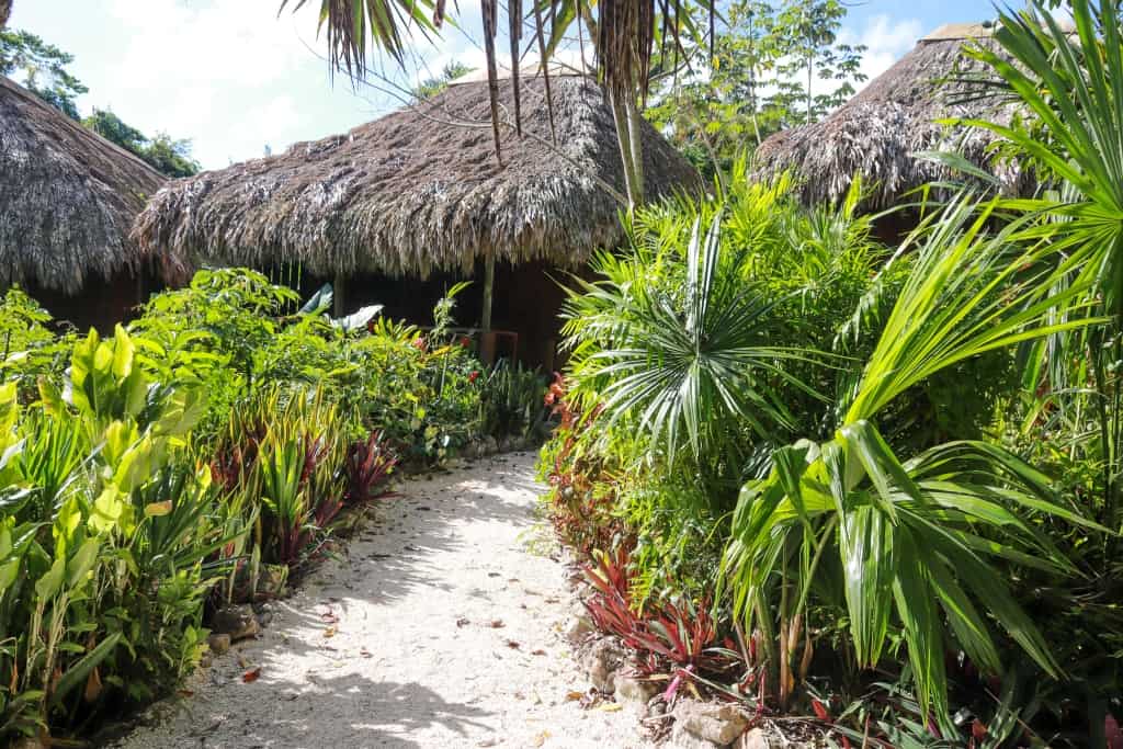 Lamanai. Ruiny miasta Majów w Belize 40 lamanai outpost lodge 3