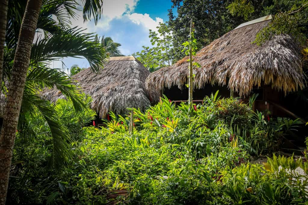 Lamanai. Ruiny miasta Majów w Belize 39 lamanai outpost lodge 4