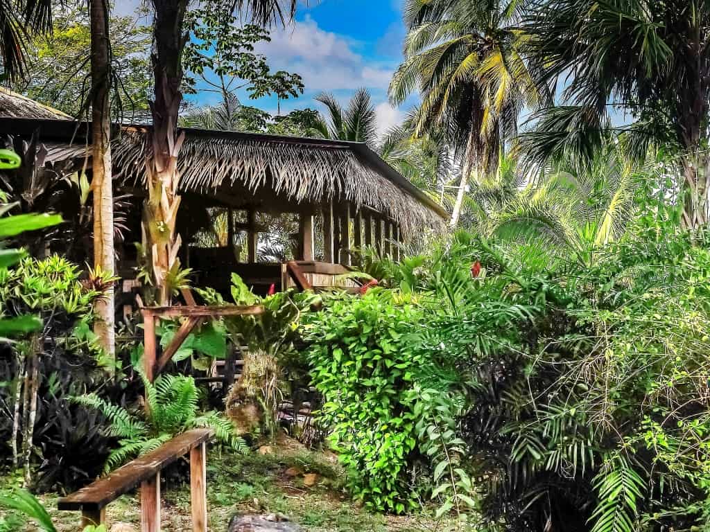 Lamanai. Ruiny miasta Majów w Belize 13 lamanai outpost lodge