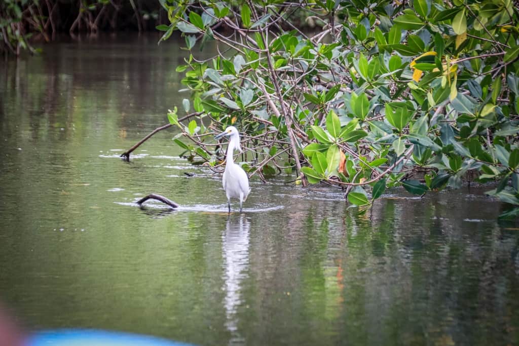 Las Penitas namorzyny.a