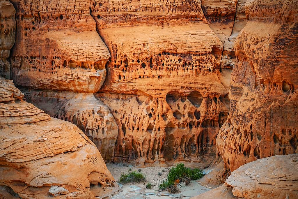 AlUla – co zobaczyć: Hegra, Maraya, Elephant Rock 7 Alula a