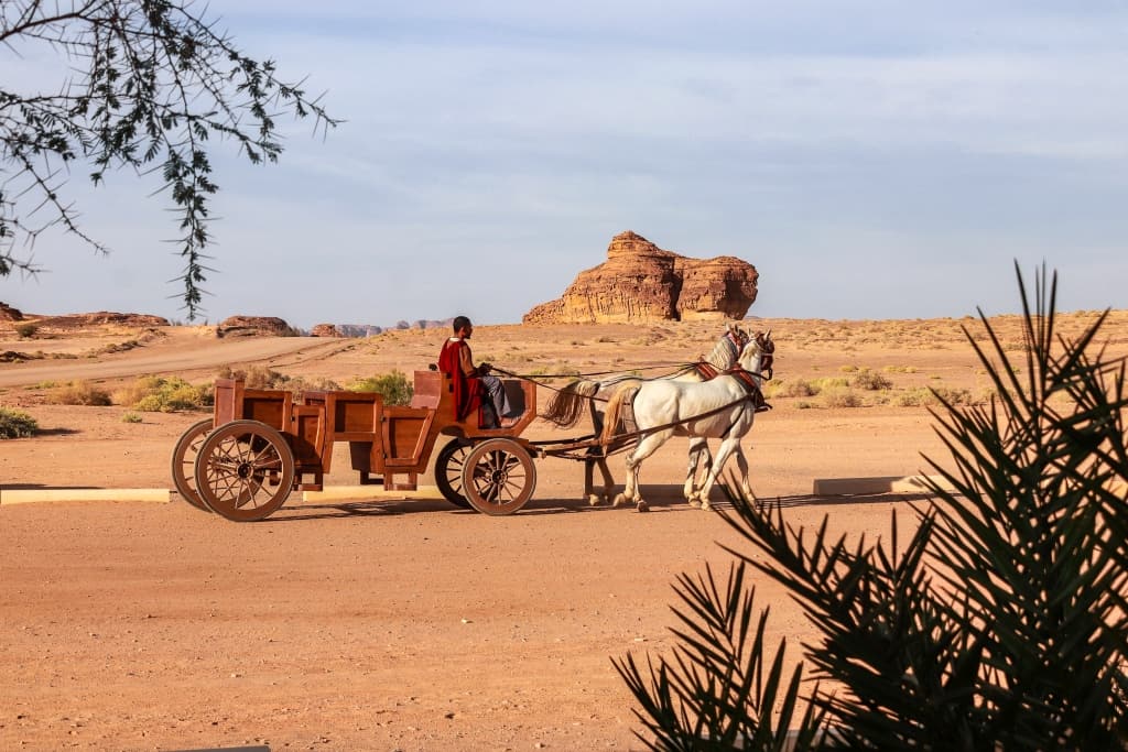 Hegra-wycieczka-bryczkami