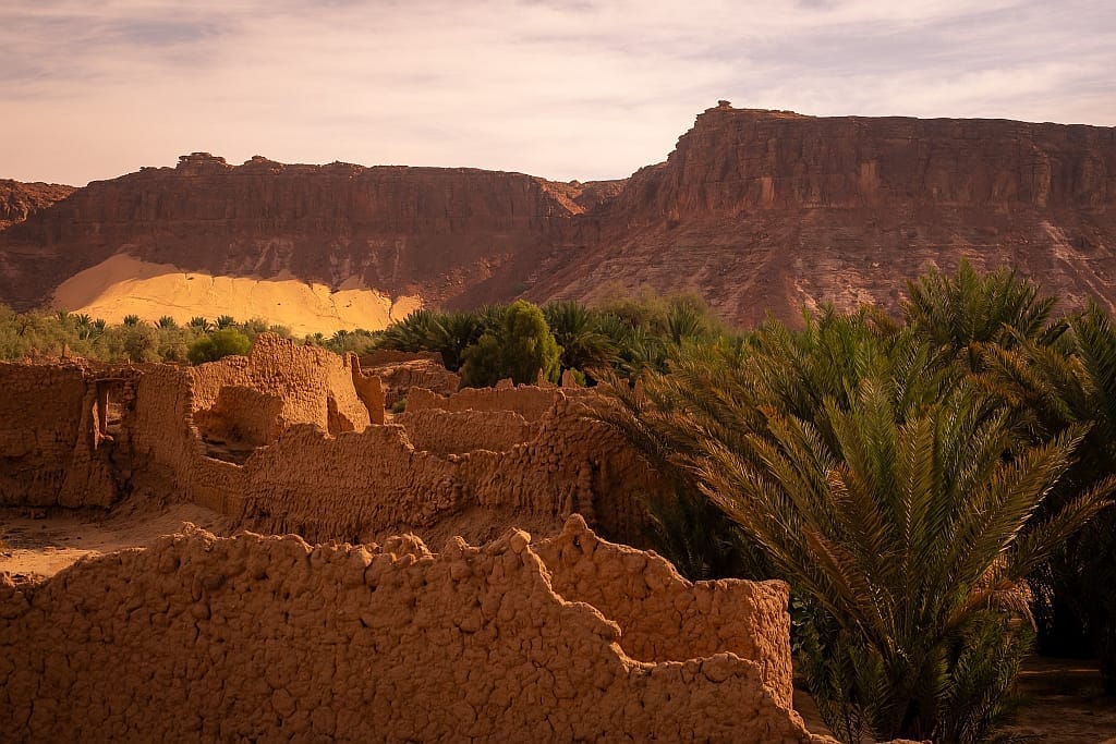 AlUla – co zobaczyć: Hegra, Maraya, Elephant Rock 32 alula oaza 3