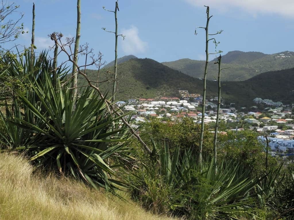 Sint Maarten Fort Amsterdam