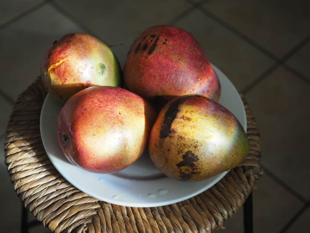 Portoryko wyspa Vieques 4