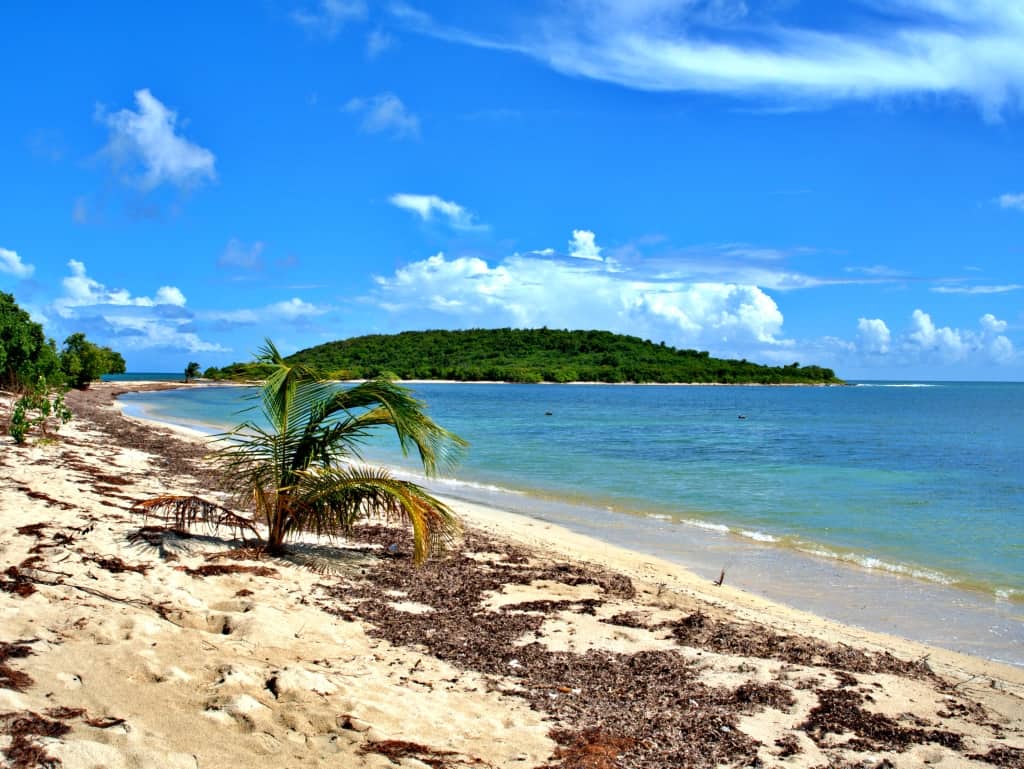 Portoryko wyspa Vieques 6