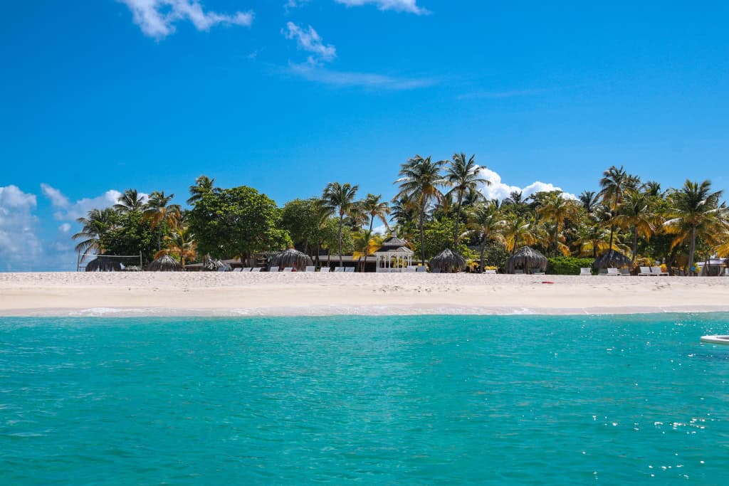 Saint Vincent i Grenadyny Bequia. palm island. 1