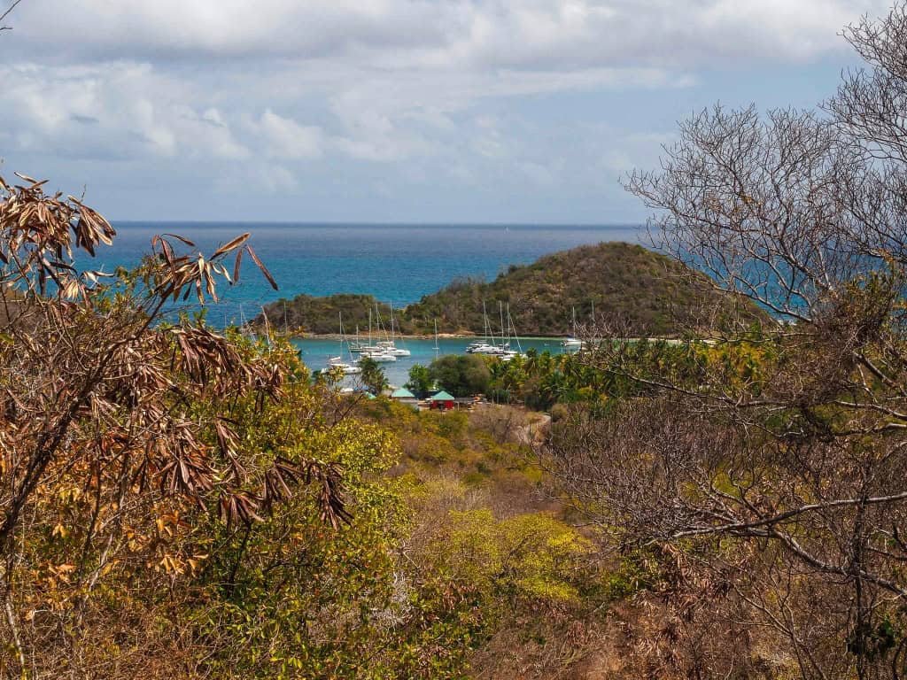 Saint Vincent i Grenadyny Mayreau. 07