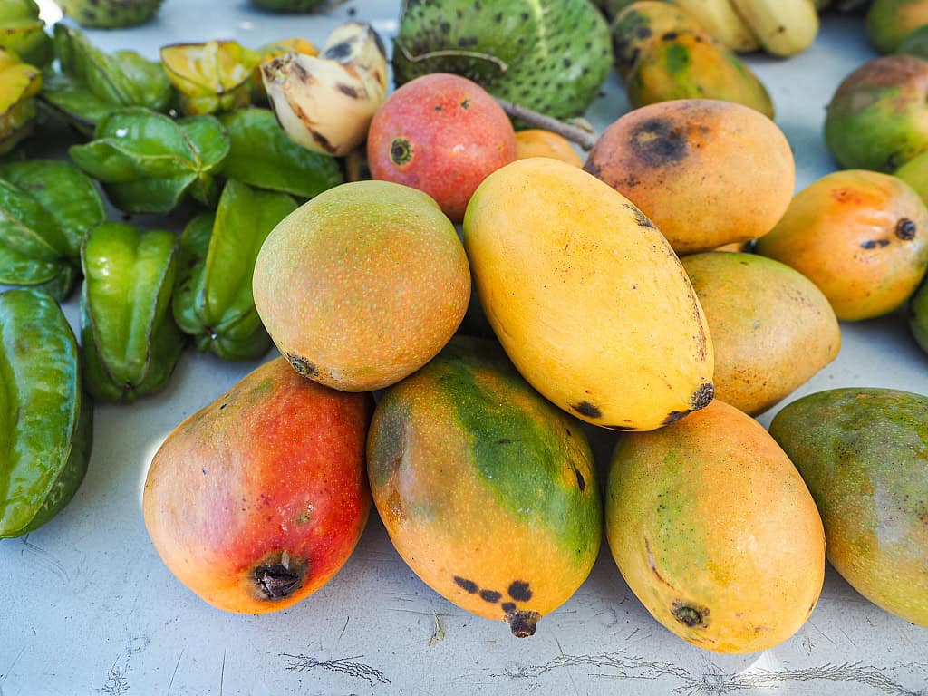 Saint Vincent i Grenadyny Union Island mango 1