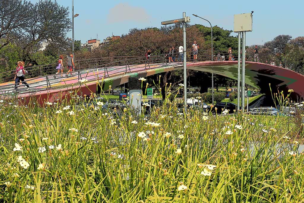 Buenos Aires most dla pieszych