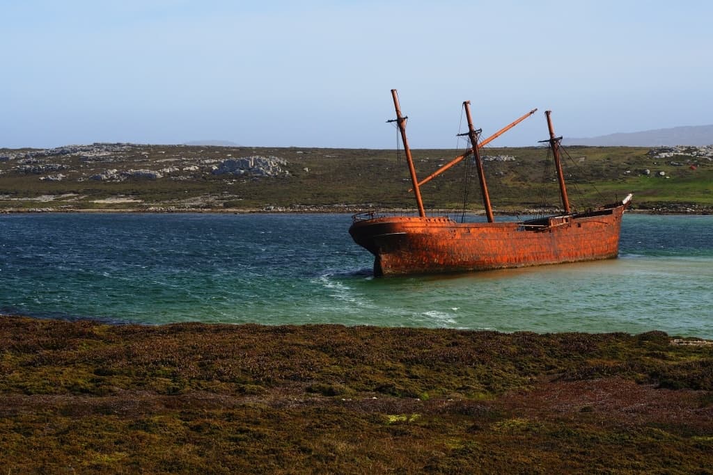 Falklandy – jak dotrzeć i spotkać pingwiny z bliska