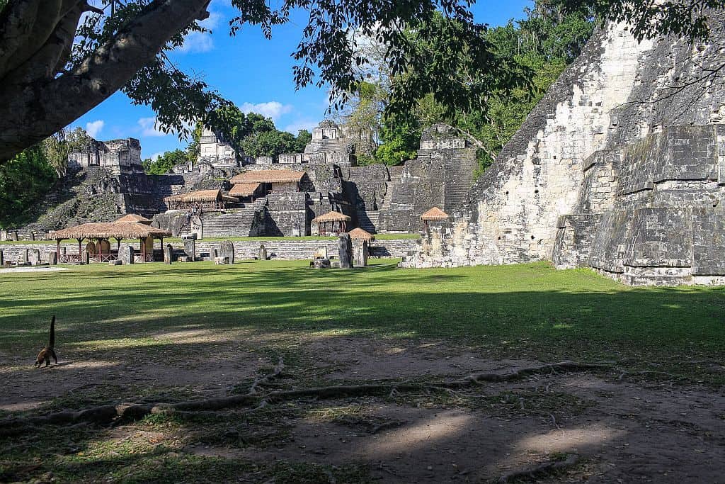 Co zobaczyć w Tikal – przewodnik po świątyniach Majów 12 Tikal polnocny akropol