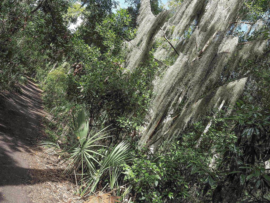 Cmentarz Bonaventure 3 cmentarz bonaventure savannah