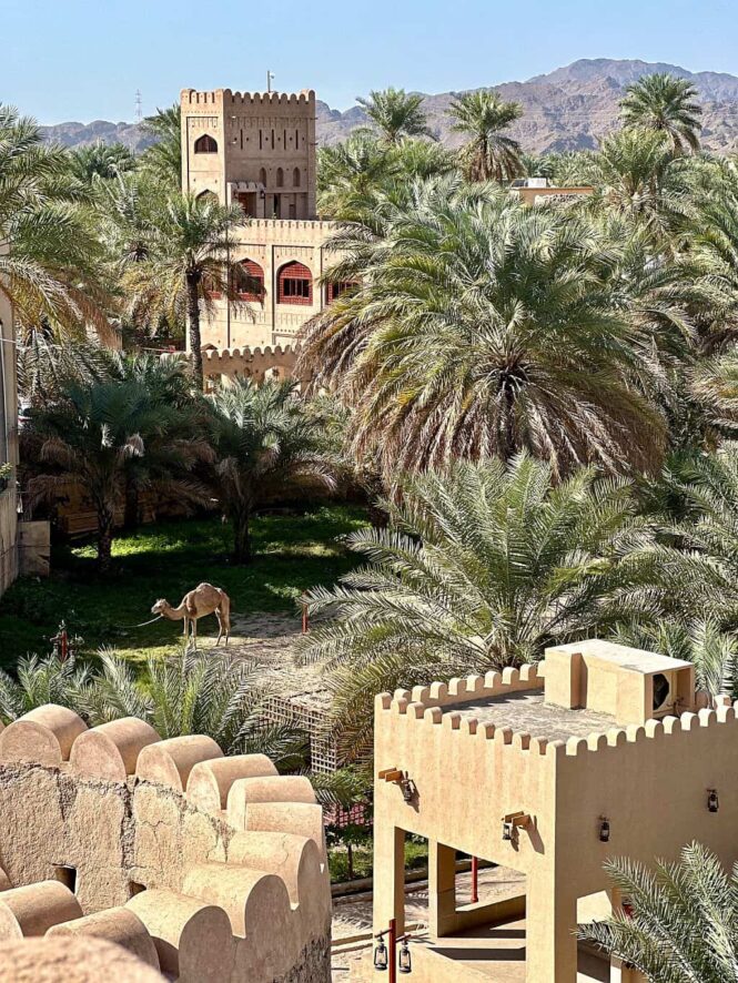 oman fort nizwa 08