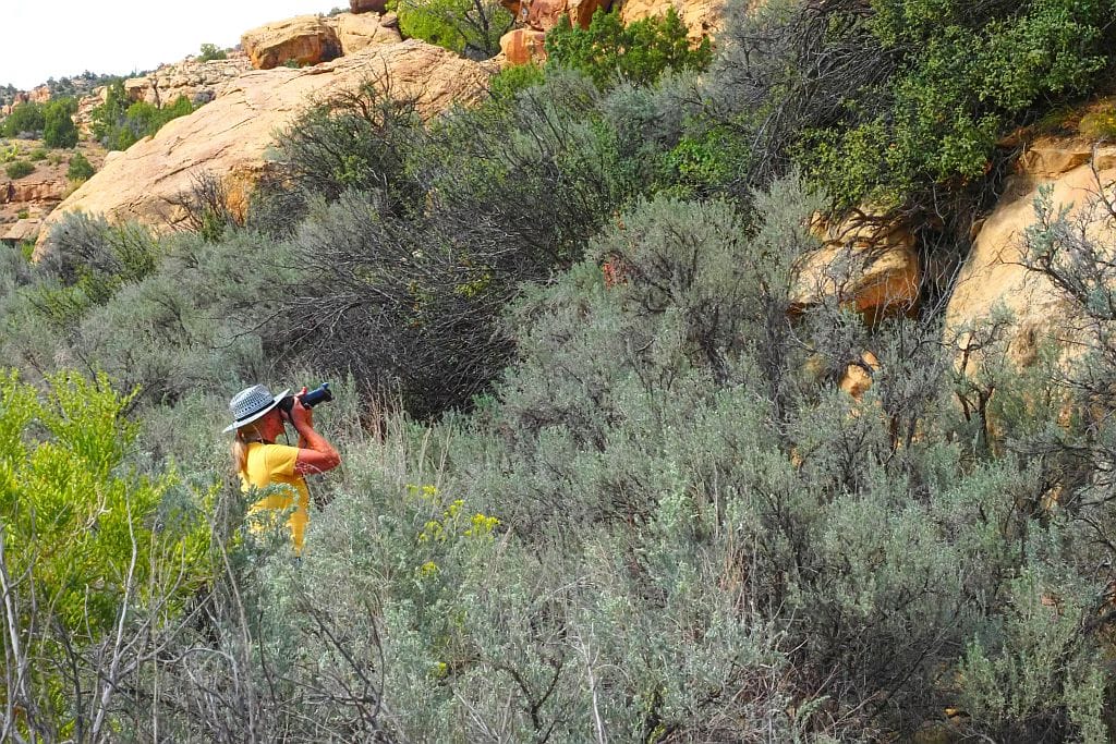 Sego Canyon Barier Style 7