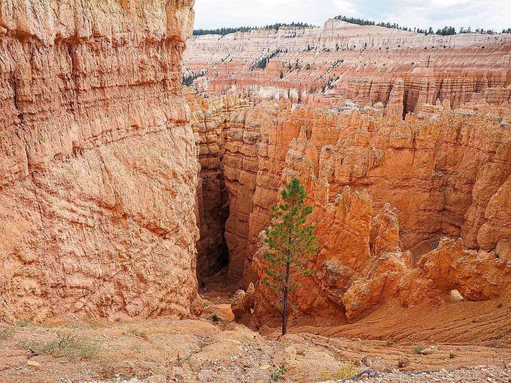 Bryce Canyon Navajo loop 19