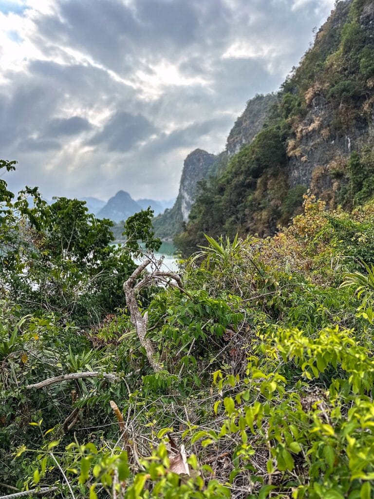 Rejs po Ha Long Bay 43 Ha Long Bay x