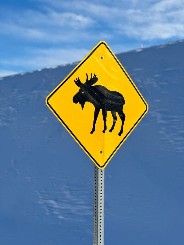 znak drogowy z losiem alaska