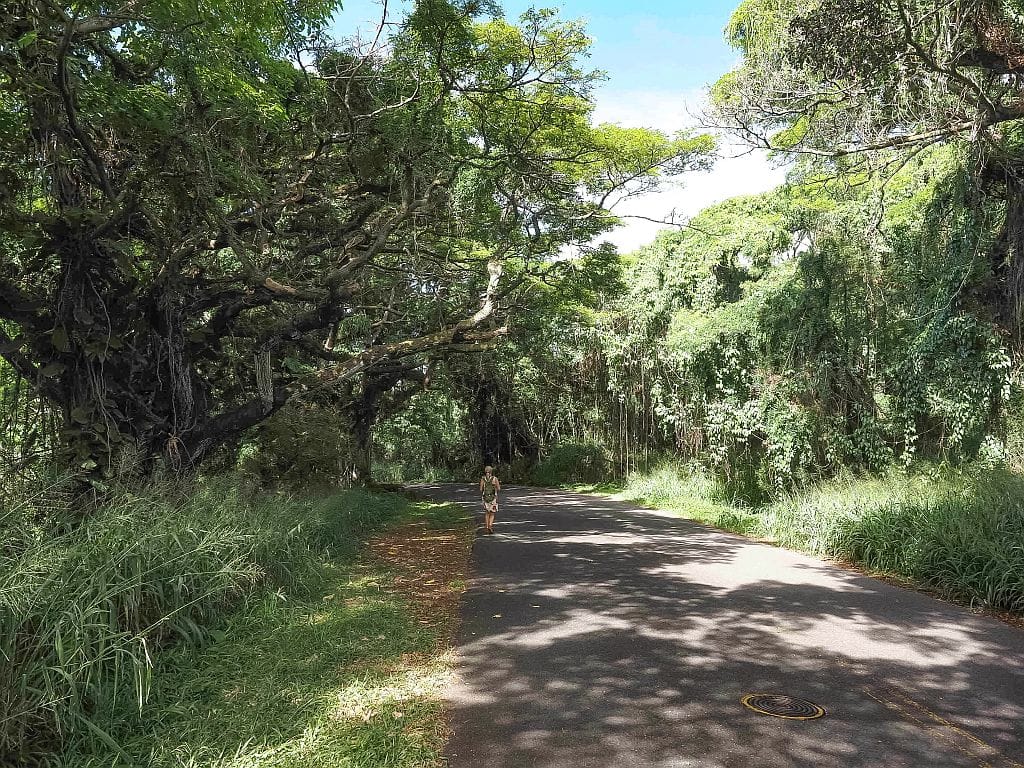 Honolulu Oahu 7
