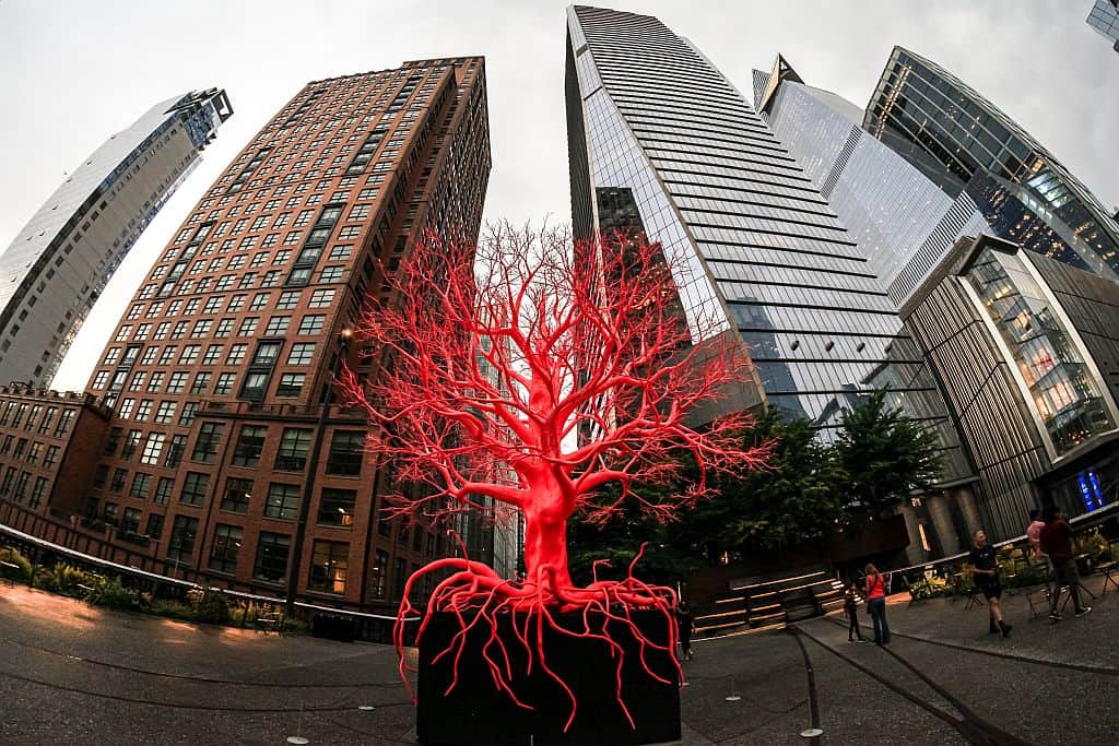 Nowy Jork Old Tree czerwone drzewo na High Line