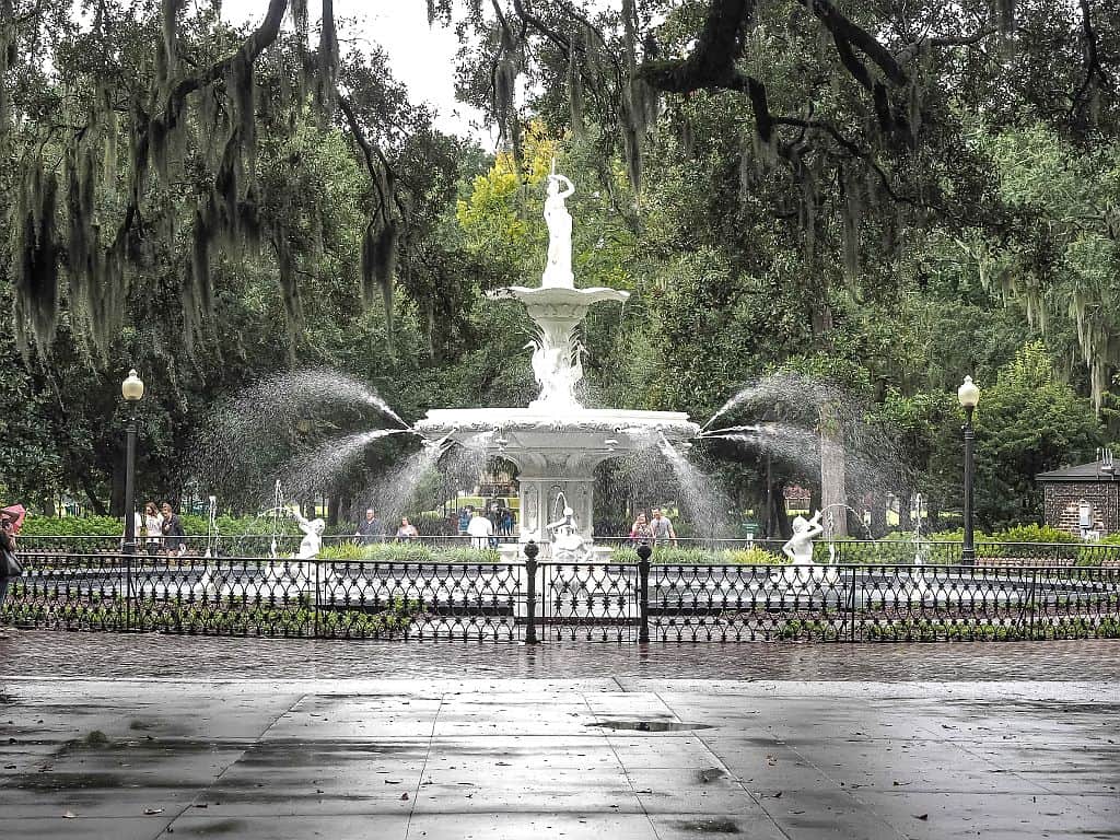 Nasz e-book 4 Savannah a