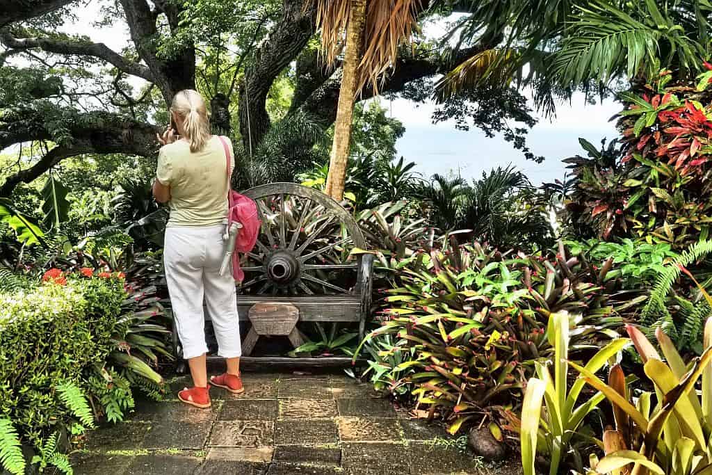 Rejs po Karaibach - 5 wysp w 10 dni 77 Rejs po karaibach St Kitts Romney Manor – dawna rezydencja z ogrodami i pracownia batiku 1