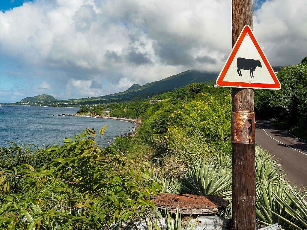 Rejs po Karaibach - 5 wysp w 10 dni 71 Rejs po karaibach St Kitts punkt widokowy