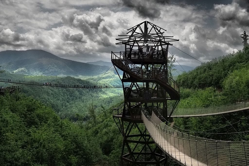 Great Smoky Mountains — Tulip Tower wieza widokowa na koncu SkyTrail 1