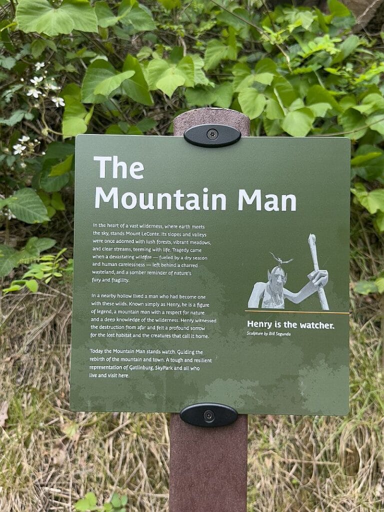 The mountain Man