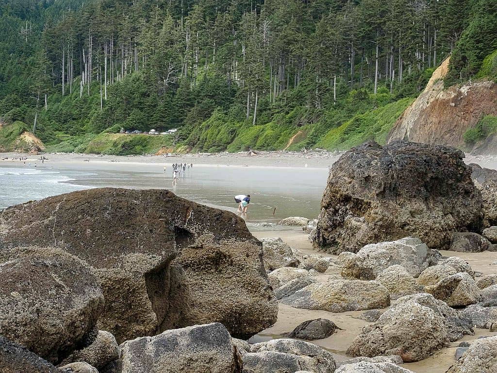 Wybrzeże Oregonu – najpiękniejsze klify i plaże 20 Wybrzeze Oregonu Ecola State Point indian beach plaza