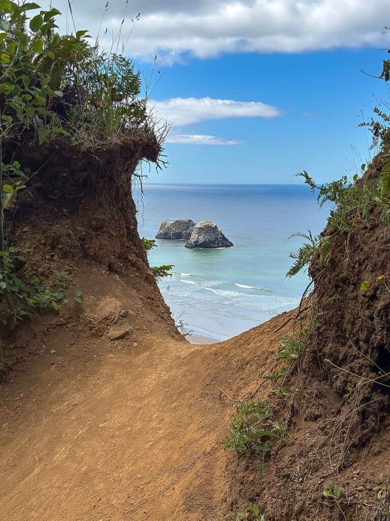 Wybrzeże Oregonu – najpiękniejsze klify i plaże 32 Wybrzeze Oregonu crescent Beach
