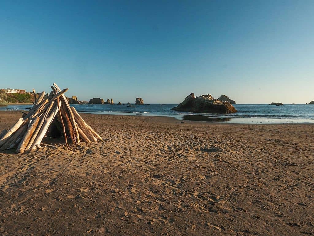 Wybrzeże Oregonu – najpiękniejsze klify i plaże 35 Wybrzeze Oregonu drewno na plazy w Bandon