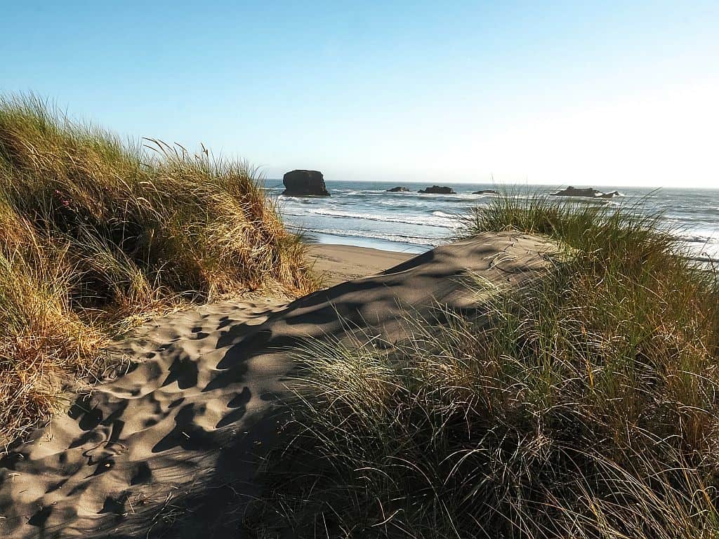 Wybrzeże Oregonu – najpiękniejsze klify i plaże 48 wybrzeze oregonu punkty widokowe na 101