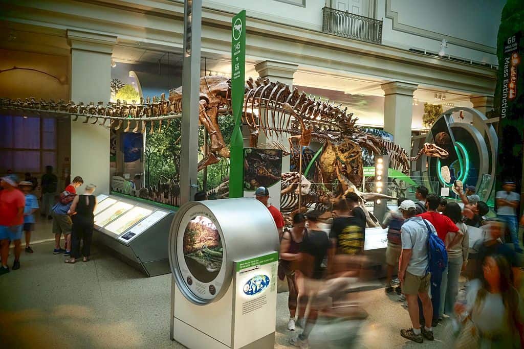 Zwiedzanie Waszyngtonu - przewodnik po stolicy 23 Zwiedzanie Waszyngtonu – T. rex w galerii dinozaurow