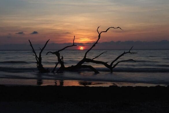 Golden isles w Georgii