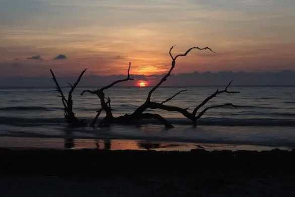 Golden isles w Georgii