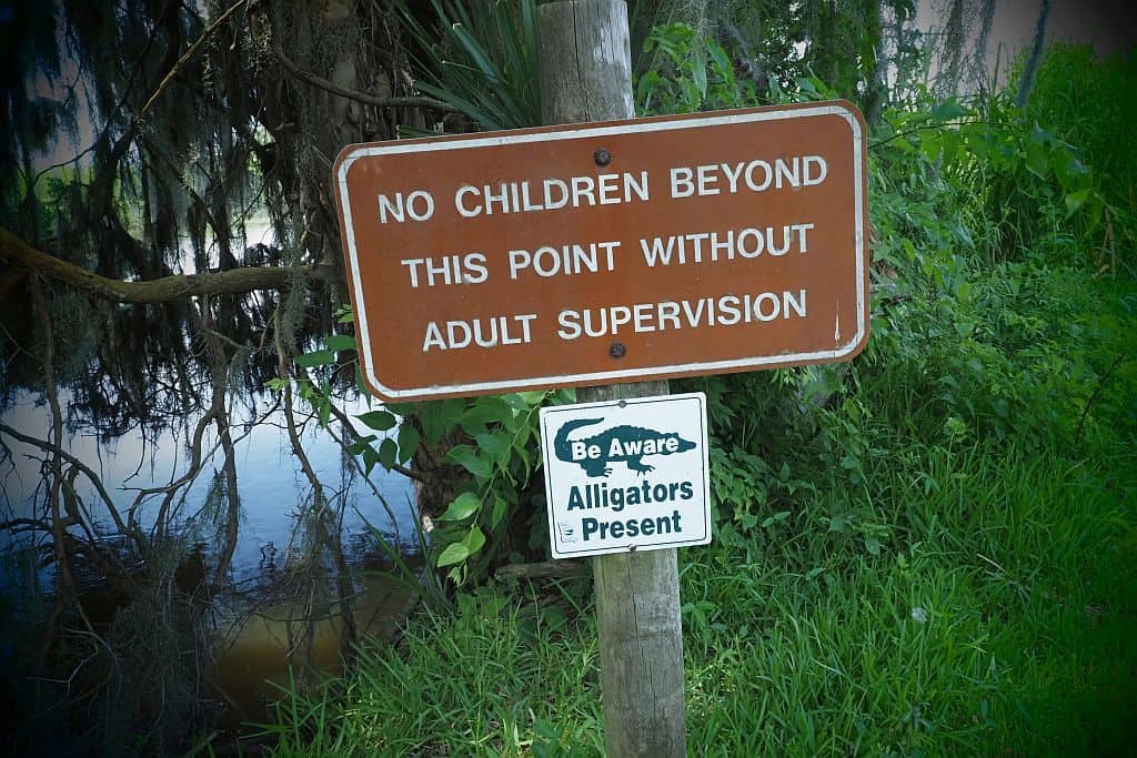bagna Altamaha z Fort King George w Georgii