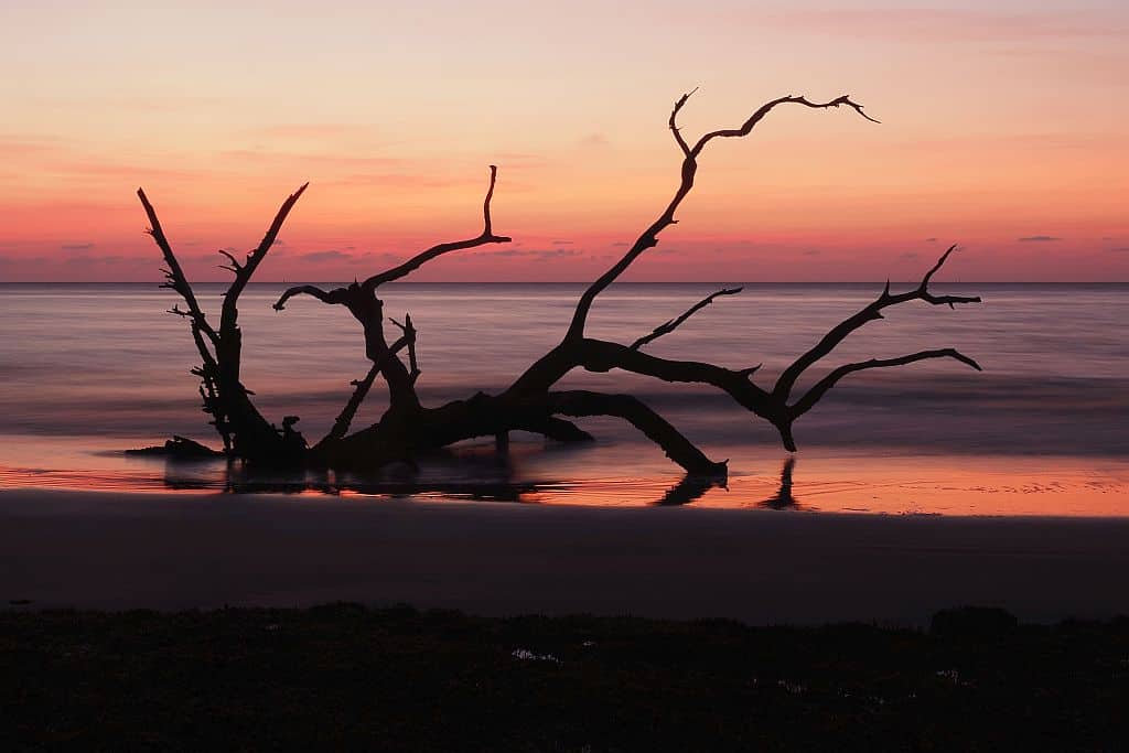 wschod na Driftwood beach na wyspie Jekyll